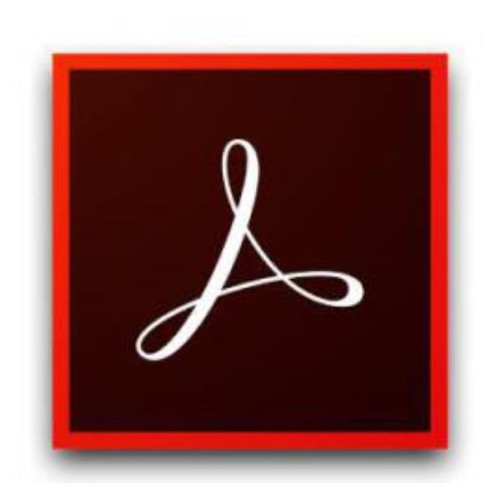 ADOBE ACRO STD DC ENT ML FRL SUB R